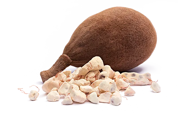 Baobab Oil