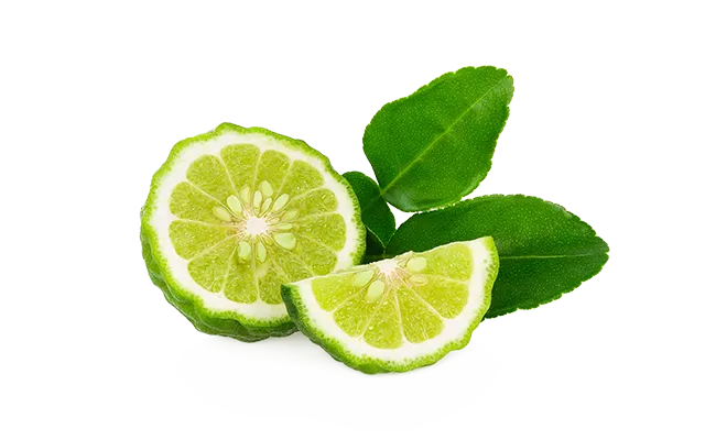 Bergamot