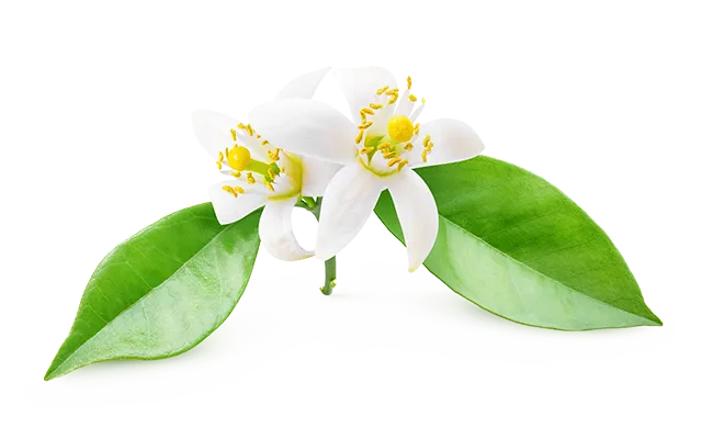 Neroli