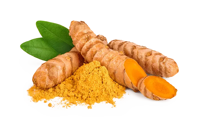 Turmeric